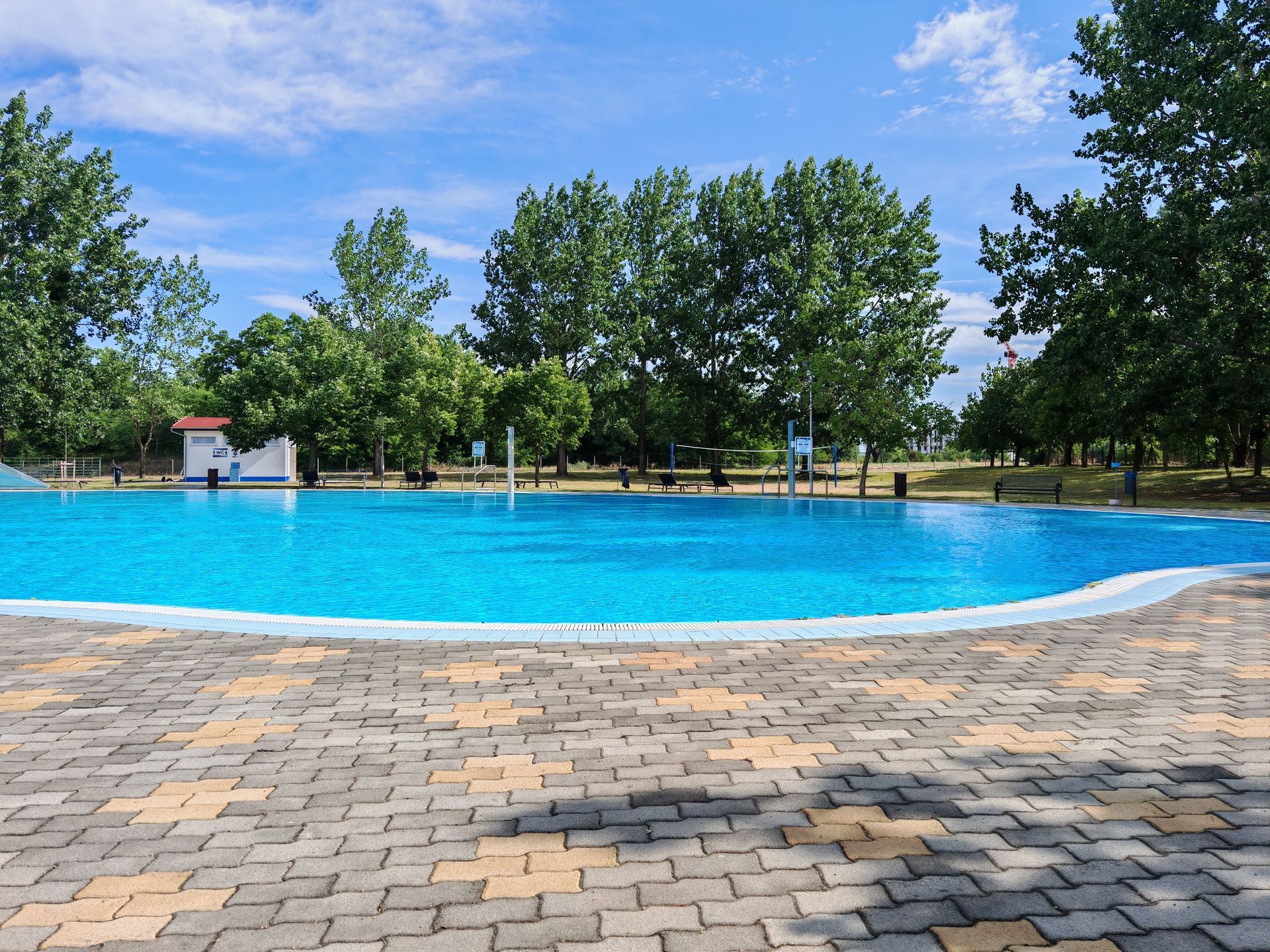 Bright outdoor swimming pool surrounded by lush green trees in a park setting, perfect for summer relaxation.